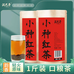 泥巴哥福建小种红茶 浓香耐泡口粮茶500g