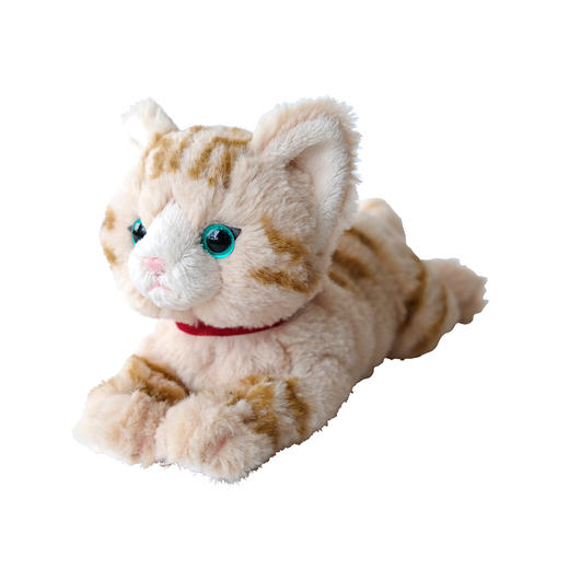 SunLemon 美国短毛猫（米色SS号）SUNCP8022玩偶 商品图0