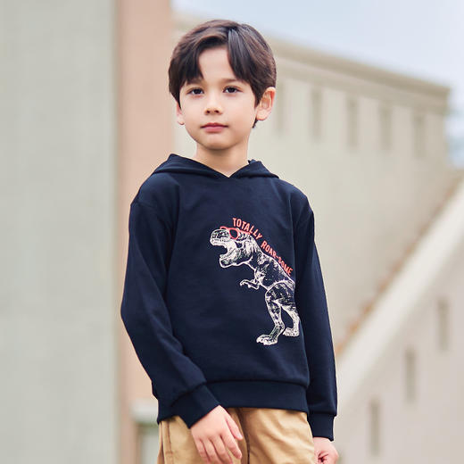 mettekids男童卫衣儿童春季新款连帽帅气童装中大童卡通恐龙上衣 商品图2
