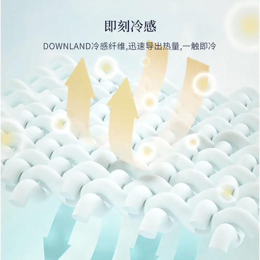 DOWNLAND 丝滑冷感枕套单个装 [福利品] 商品图1