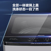 海信（Hisense）10KG变频波轮洗衣机星钻内筒直驱电机桶自洁XQB100-C309D 商品缩略图5