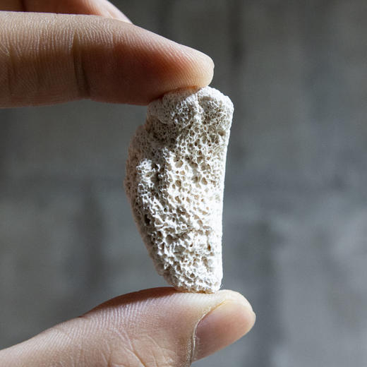 普通生龙骨  500克  1kg 商品图4