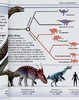 【中商原版】DK目击者口袋系列 恐龙	Pocket Eyewitness Dinosaurs	英文原版 DK百科 史前世界 恐龙指南 商品缩略图6