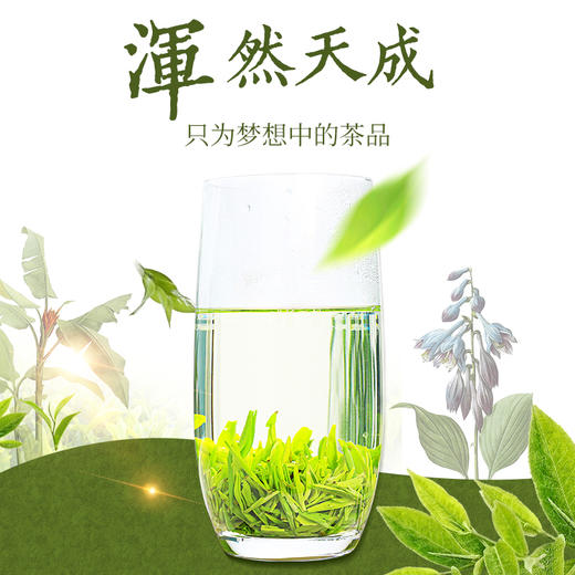 南京雨花茶200g洪武系列礼盒装 商品图4