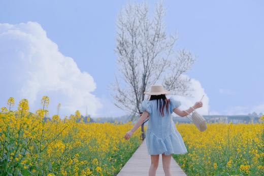 【邛崃-112号院】4房、5房、6房小院，油菜花、稻田民宿，床多，设计感超强。dx 商品图5