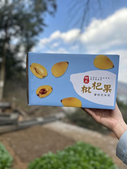 【云燕优品】正宗攀枝花早钟甜枇杷❗️3斤/5斤装顺丰包邮 商品图5