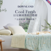 DOWNLAND 日光倾城冷感被子200cmx230cm 夏凉被空调被可水洗机洗[福利品] 商品缩略图0