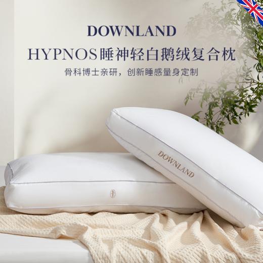 DOWNLAND 2023新款Hypnos睡神轻白鹅绒复合枕头 成人助睡眠护颈椎枕芯[福利品] 商品图0