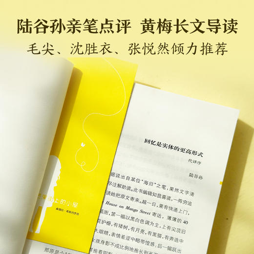芒果街上的小屋（诗歌与小说的混血文字，梦幻插图点缀精灵之书，讲述成长、希望和梦想） 商品图6