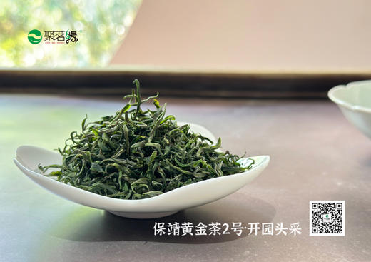 春茶上市｜【时间味道·保靖黄金茶2号】开园头采，茶品气质独佳：“海鲜汤，蟹黄香，冰泉甜，祖母绿”是黄金茶2号的标配，是爱茶人一年的期盼……净含量：100g 商品图1