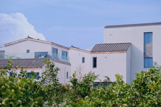 【邛崃-112号院】4房、5房、6房小院，油菜花、稻田民宿，床多，设计感超强。dx 商品图1