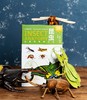 【昆虫+鸟类小百科】中国国家地理出品，通过300余幅照片、手绘图、信息图 回溯亿万年的昆虫演化史 和完美的飞行系统  科普图书 商品缩略图3