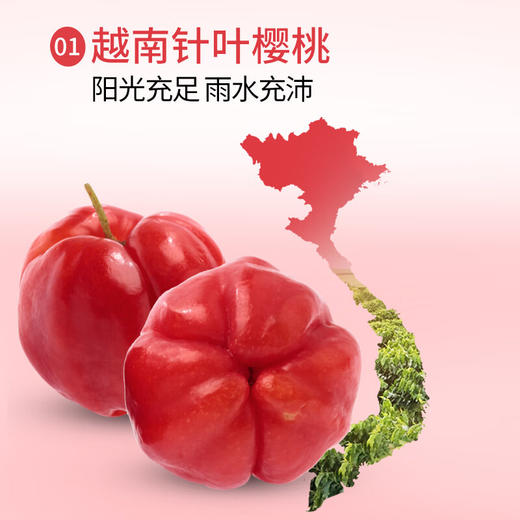 英贝健针叶樱桃维生素C饮品500ml(T) 商品图5