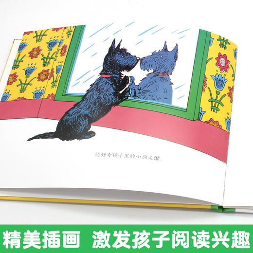 【童立方】顽皮狗安格斯系列：安格斯和鸭子 3-4-5-6周岁儿童绘本故事书  商品图3