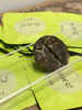 嘉茗录玲珑饼干茶——生茶 熟茶 白茶 礼盒组合装 商品缩略图8