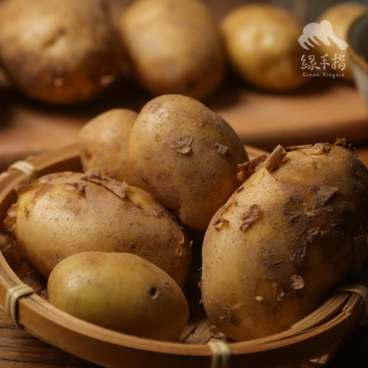 生态土豆 （广东）| 合作生产 * Eco-potato | Coproduction 商品图0