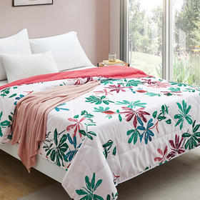 【分仓直发包邮】馨亭丁斯丝柔被MXW-016L