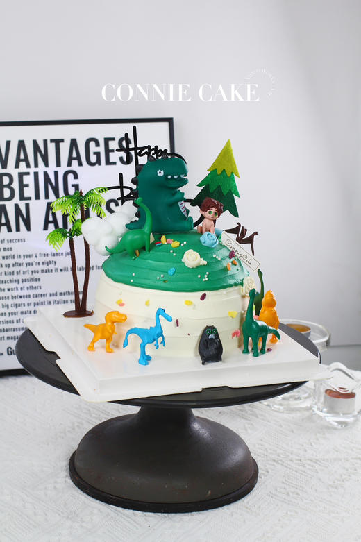 【1440】球型森系恐龙 商品图2