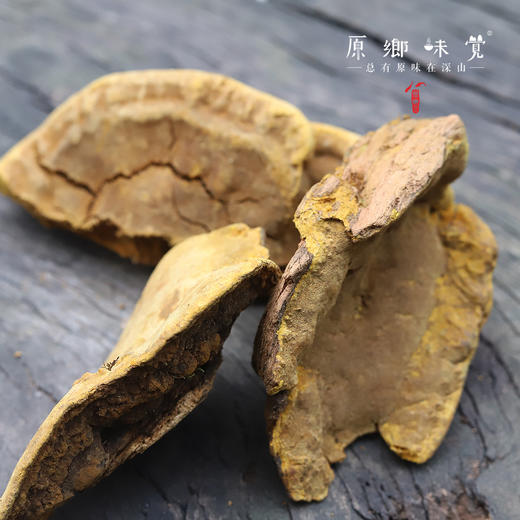 西藏野生桑树桑黄（成都仓库-顺丰快递） ｜ 80g/瓶，来自西藏林芝，生产者：当地藏民【原乡自采】 商品图1