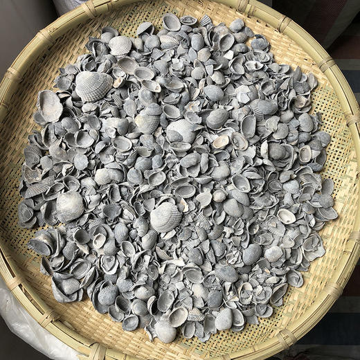 煅瓦楞子 商品图0