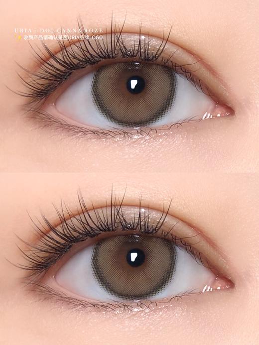 正品IDOL系列蜂蜜棕美瞳年抛/半年抛混发 直径14.0着色13.0韩国产 商品图8