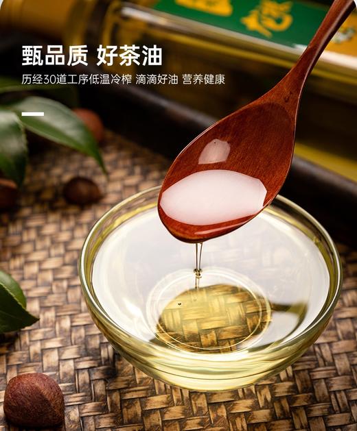 茂森缘 湖北硒都恩施八宝之硒都龙株山茶油 500ml/盒 商品图3