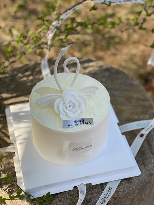 天鹅湖山茶花 商品图2