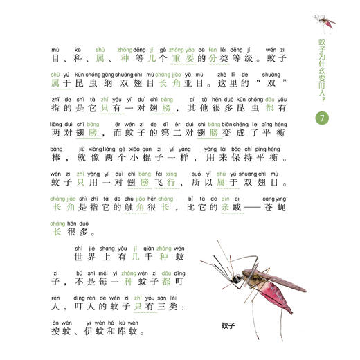 《小亮老师的博物课》（全6册）注音版 商品图7