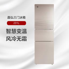 晶弘三门冰箱 225L 宽幅调温 抗菌净味 BC D-225WETC/时代金