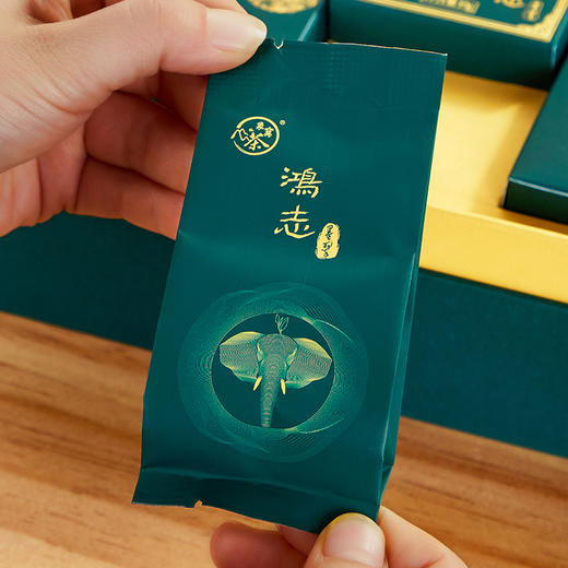 【2026新茶】象窝茶鸿志墨翠礼盒装绿茶高山云雾新兴特产 鸿志墨翠绿茶 5g * 24袋 120g 商品图1