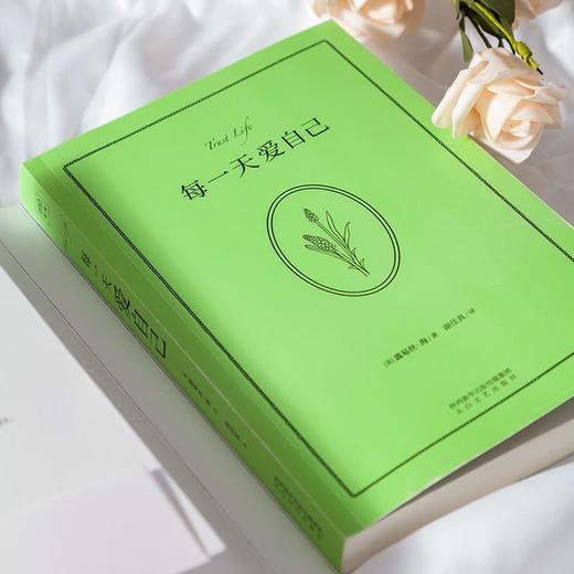 每一天爱自己  露易丝·海 商品图6
