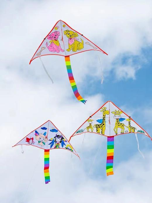 风筝带线轮1套 商品图11