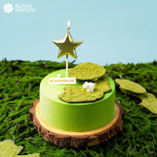 【春游记全家桶套餐】4.5吋白羊座+春日摩登下午茶+春日起泡酒+云朵沙发 商品图0