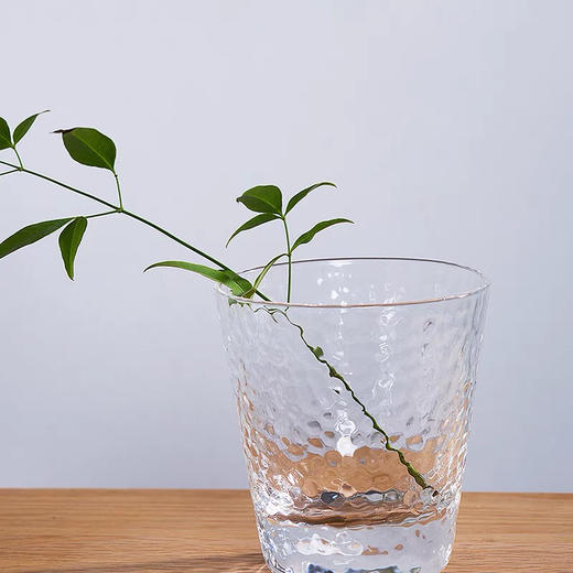 锤目纹玻璃杯 商品图3