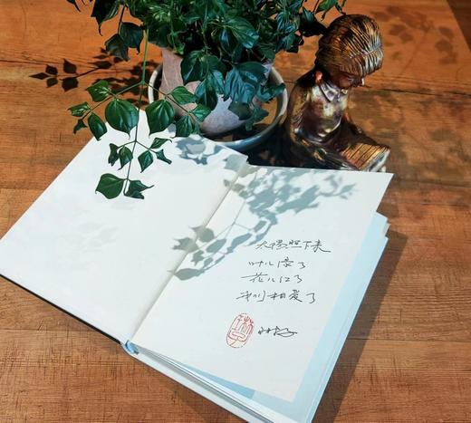 《最好的太阳》琳子著 商品图2