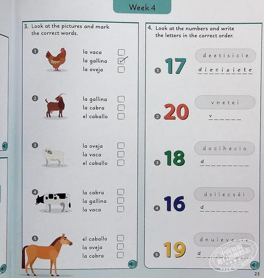 【中商原版】DK人人学西班牙语青少版 每天学5个单词 配在线音频 Spanish for Everyone Junior 5 Words a Day 小语种学习工具书教材教辅 插图词典 商品图8