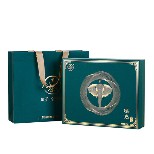 【2026新茶】象窝茶鸿志墨翠礼盒装绿茶高山云雾新兴特产 鸿志墨翠绿茶 5g * 24袋 120g 商品图0