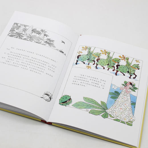 【童立方】小孩子大自然系列：仲夏节花会 3-6岁精装绘本 商品图4