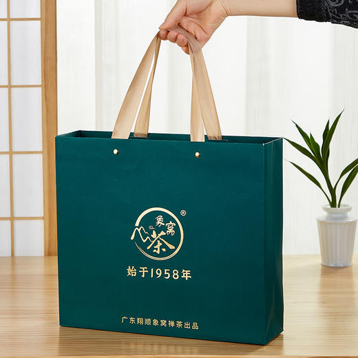 【2026新茶】象窝茶鸿志墨翠礼盒装绿茶高山云雾新兴特产 鸿志墨翠绿茶 5g * 24袋 120g 商品图3