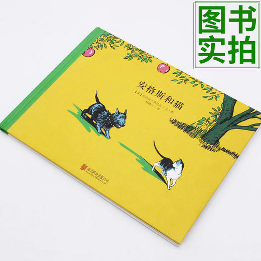 【童立方】顽皮狗安格斯系列：安格斯和猫3-4-5-6周岁儿童绘本故事书 商品图1