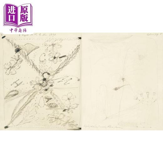 【中商原版】Hilma af Klint: The Five’s Sketchbooks, Nos. S2, S6 and S13 进口艺术 Hilma af Klint：五人组速写本 商品图2