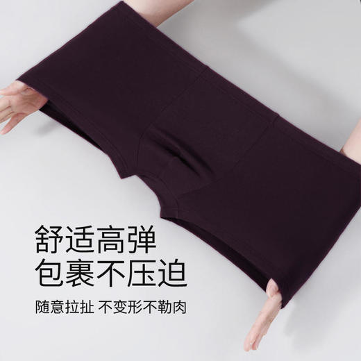 Threegun三枪 【弹力棉】男士平角短裤四角内裤（1条装）-50653B0W1 商品图1