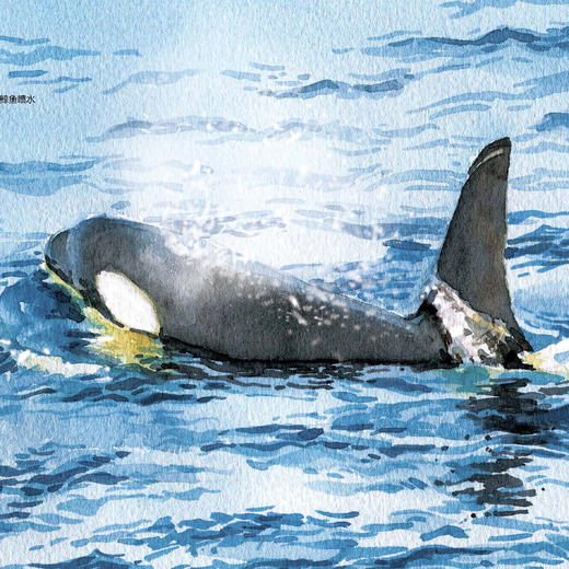 《小亮老师的博物课》（全6册）注音版 商品图11