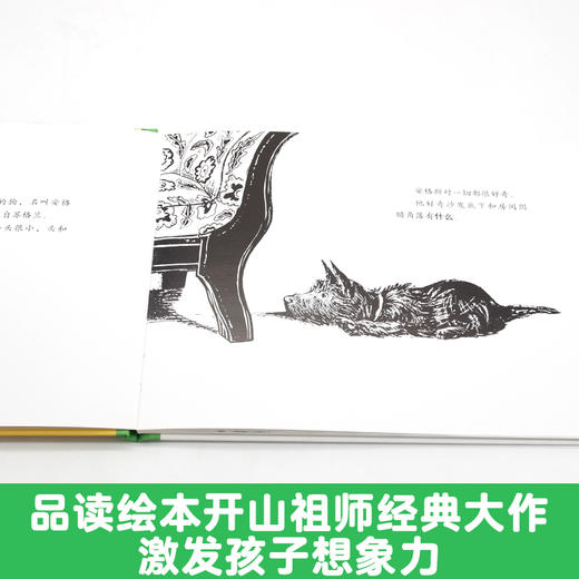 【童立方】顽皮狗安格斯系列：安格斯和鸭子 3-4-5-6周岁儿童绘本故事书  商品图2