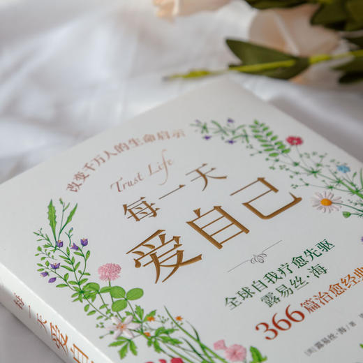 每一天爱自己  露易丝·海 商品图1