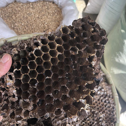 蜂房 商品图3