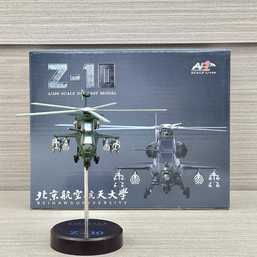 武直十   1：100 商品图0
