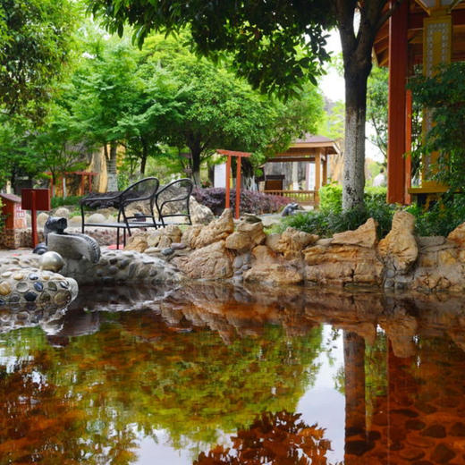 石林旅居 | 昆明石林紫竹苑酒店￥599起/单人3晚/6晚/15晚 ，2人起订，杏林大观园4A景区养生旅居，全年不涨价，中国石林中医药文化康养福地、汤泉养生、佛禅修心 商品图9