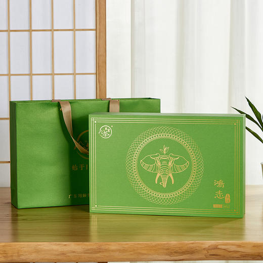 象窝茶鸿志春绿礼盒装绿茶高山云雾新兴特产 绿茶礼盒装 5g * 36袋 180g 商品图2