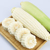 老品种鲜白糯玉米  纯糯微甜  香甜可口，吃起糯糯的感觉， 给你不一样的美食体验！ 商品缩略图1